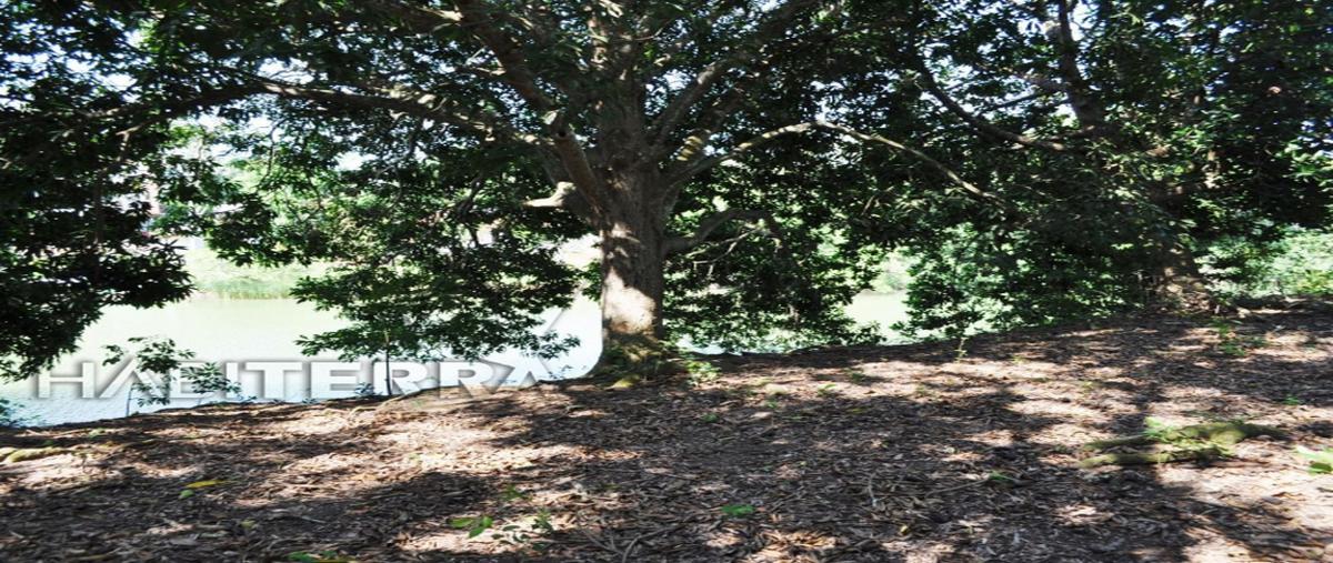 Foto de terreno comercial en congregacion juana moza, tuxpan , isla de juana moza, tuxpan, veracruz de ignacio de la llave, 0 foto 03 Foto de terreno comercial en venta en congregacion juana moza, tuxpan , isla de juana moza, tuxpan, veracruz de ignacio de la llave, 0 No. 03