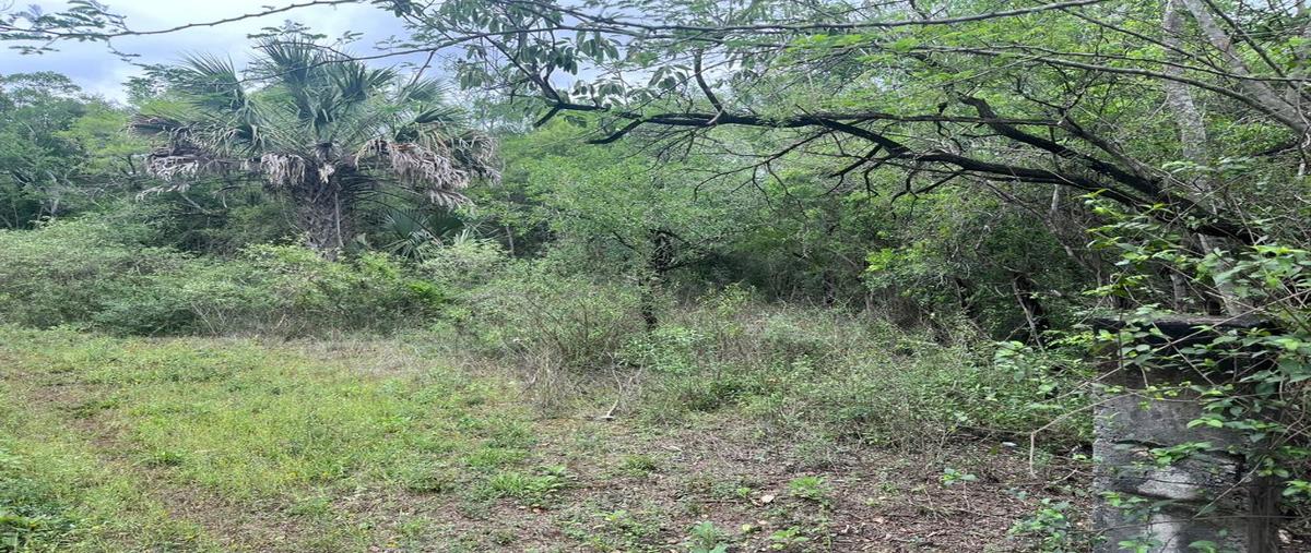 Foto de terreno habitacional en venta en congregación la boca , la boca, santiago, nuevo león, 28176494 No. 05