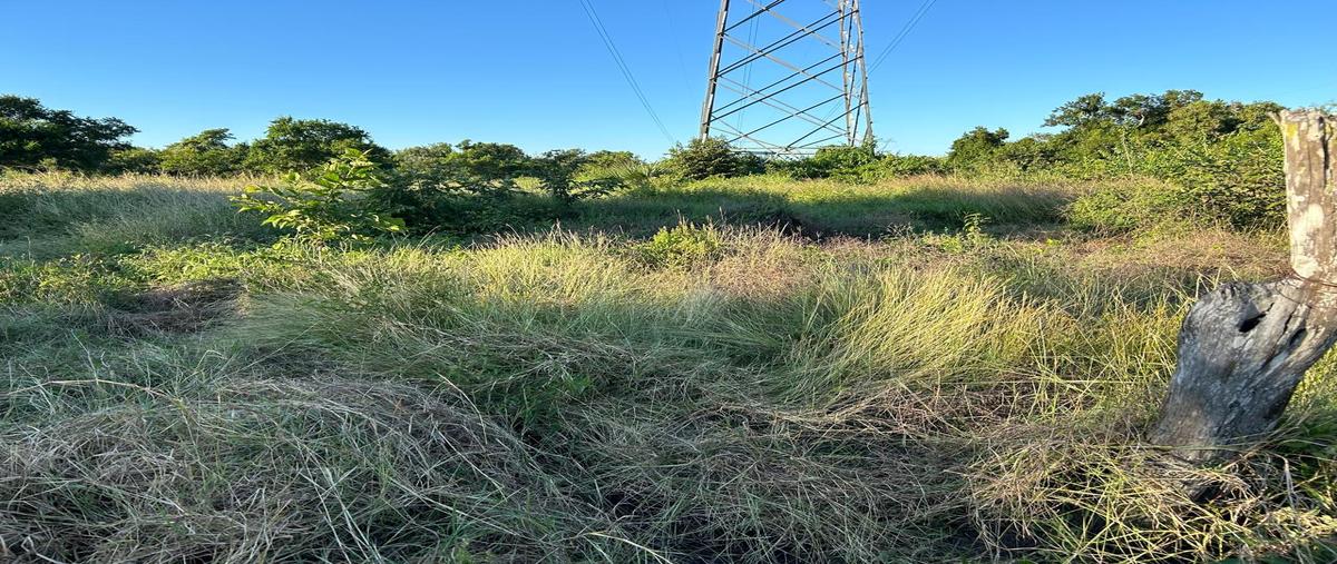 Foto de rancho en venta en congregación san antonio , ozuluama de mascareñas, ozuluama de mascareñas, veracruz de ignacio de la llave, 29106905 No. 03