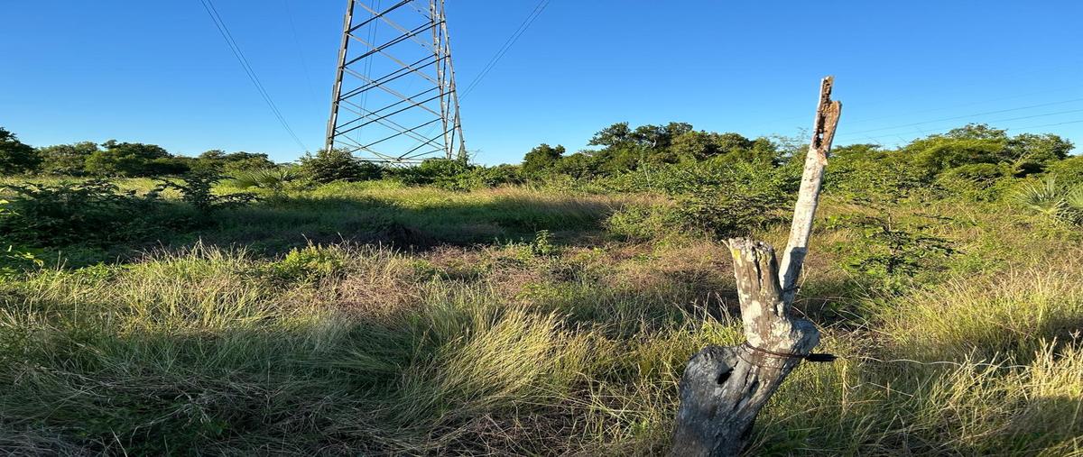 Foto de rancho en venta en congregación san antonio , ozuluama de mascareñas, ozuluama de mascareñas, veracruz de ignacio de la llave, 29106905 No. 04