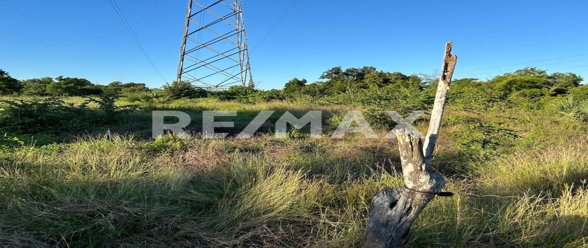 Foto de rancho en venta en congregación san antonio , ozuluama de mascareñas, ozuluama de mascareñas, veracruz de ignacio de la llave, 29106905 No. 04