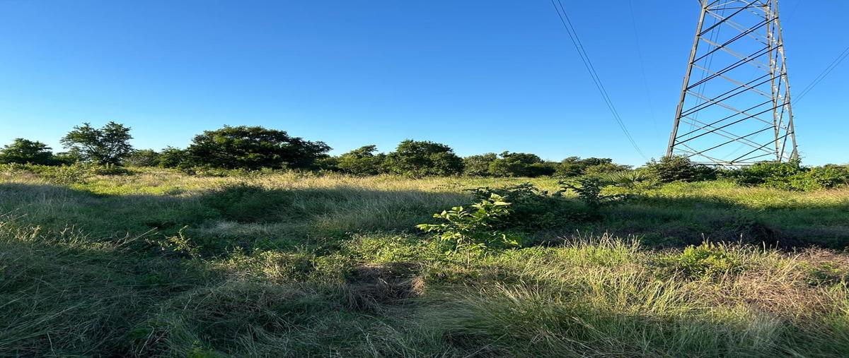 Foto de rancho en venta en congregación san antonio , ozuluama de mascareñas, ozuluama de mascareñas, veracruz de ignacio de la llave, 29106905 No. 05