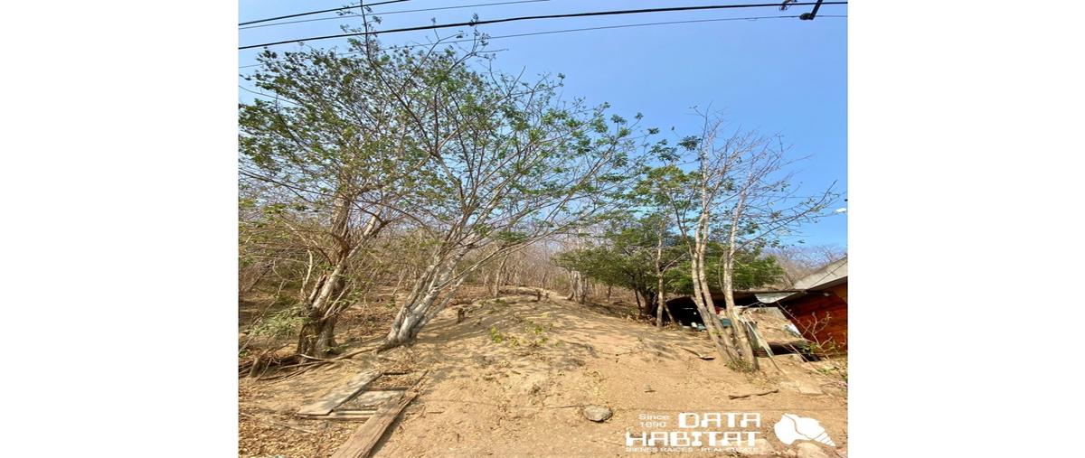 Foto de terreno habitacional en , conjunto framboyán, santa maría huatulco, oaxaca, 0 foto 02 Foto de terreno habitacional en venta en , conjunto framboyán, santa maría huatulco, oaxaca, 0 No. 02