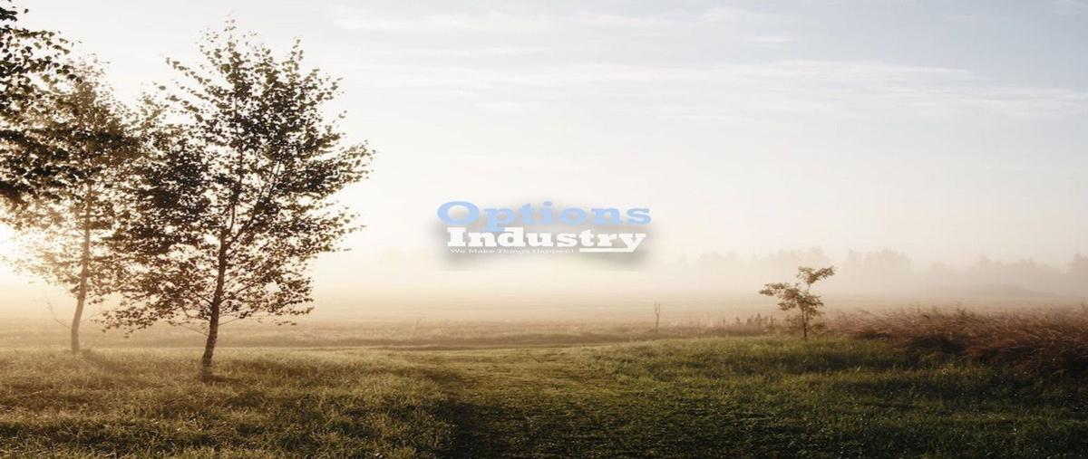 Foto de terreno industrial en renta en  , conjunto querétaro, querétaro, querétaro, 25816622 No. 04