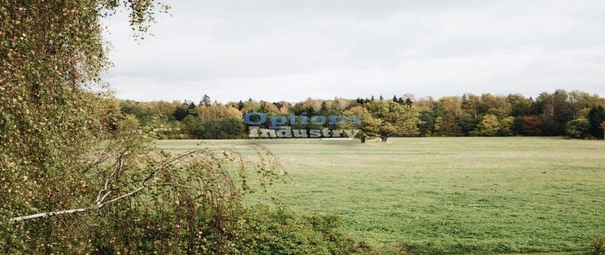 Foto de terreno industrial en , conjunto querétaro, querétaro, querétaro, 27683026 foto 03 Foto de terreno industrial en renta en , conjunto querétaro, querétaro, querétaro, 27683026 No. 03