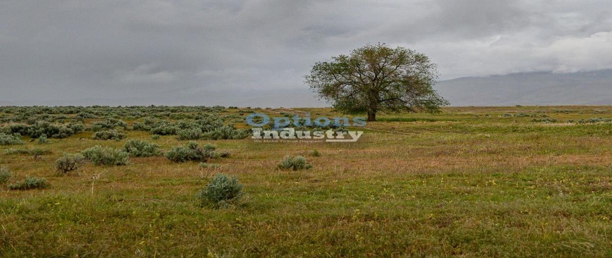 Foto de terreno industrial en , conjunto querétaro, querétaro, querétaro, 27683027 foto 05 Foto de terreno industrial en renta en , conjunto querétaro, querétaro, querétaro, 27683027 No. 05