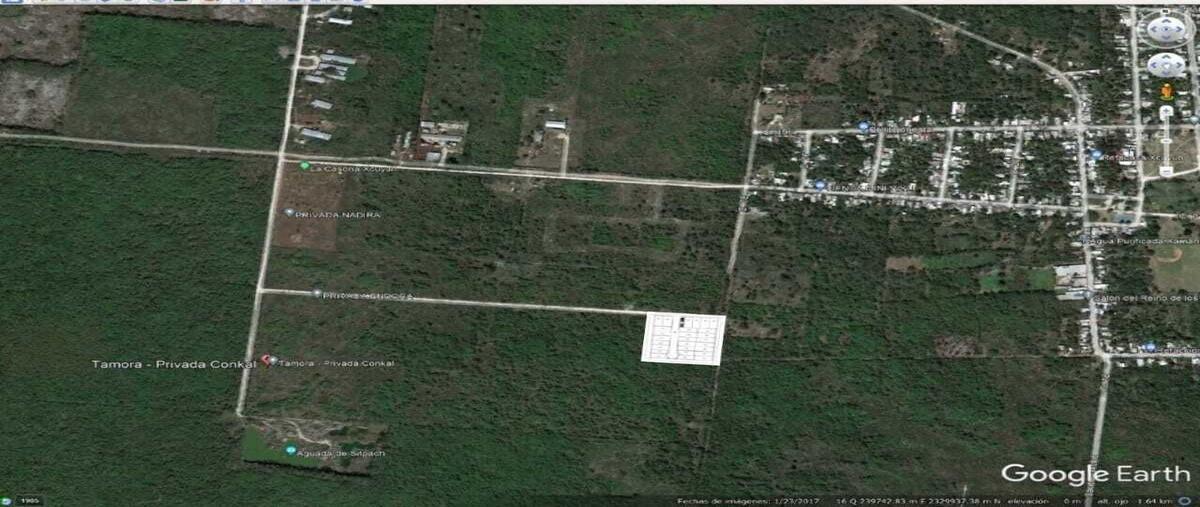 Foto de terreno habitacional en conkal , conkal, conkal, yucatán, 28759614 foto 03 Foto de terreno habitacional en venta en conkal , conkal, conkal, yucatán, 28759614 No. 03