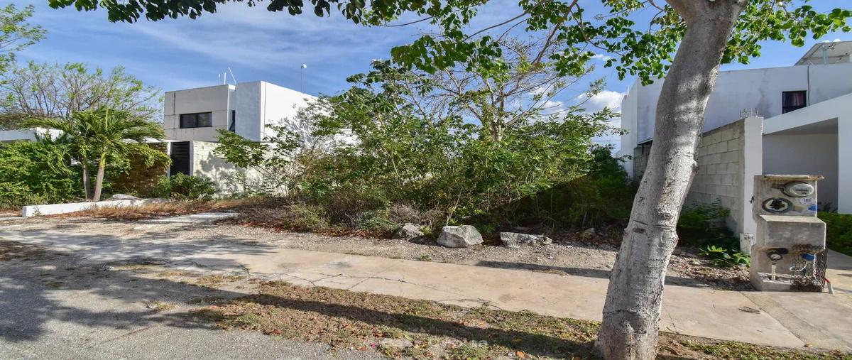 Foto de terreno habitacional en venta en conkal , conkal, conkal, yucatán, 30121791 No. 05