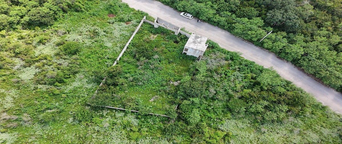 Foto de terreno habitacional en venta en conkal , conkal, conkal, yucatán, 0 No. 09