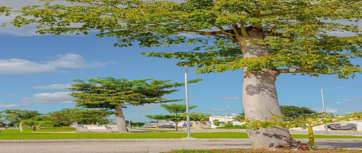 Foto de terreno habitacional en , conkal, conkal, yucatán, 13457220 foto 05 Foto de terreno habitacional en venta en , conkal, conkal, yucatán, 13457220 No. 05