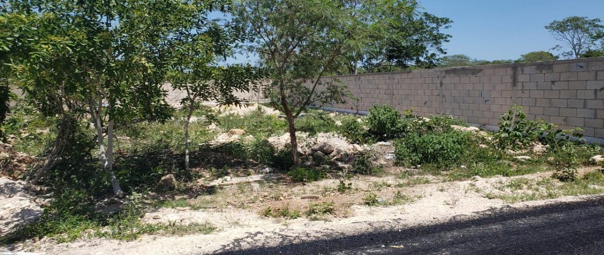 Foto de terreno habitacional en , conkal, conkal, yucatán, 0 foto 02 Foto de terreno habitacional en venta en , conkal, conkal, yucatán, 0 No. 02