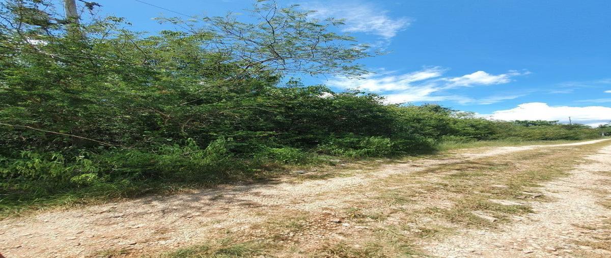 Foto de terreno habitacional en , conkal, conkal, yucatán, 16709867 foto 01 Foto de terreno habitacional en venta en , conkal, conkal, yucatán, 16709867 No. 01