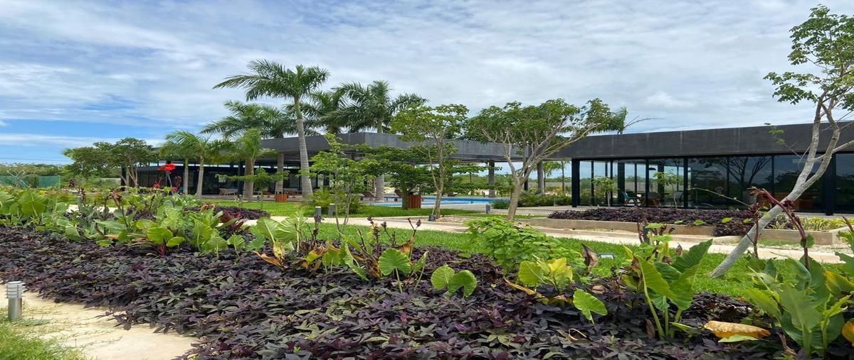 Foto de casa en venta en  , conkal, conkal, yucatán, 20200453 No. 03