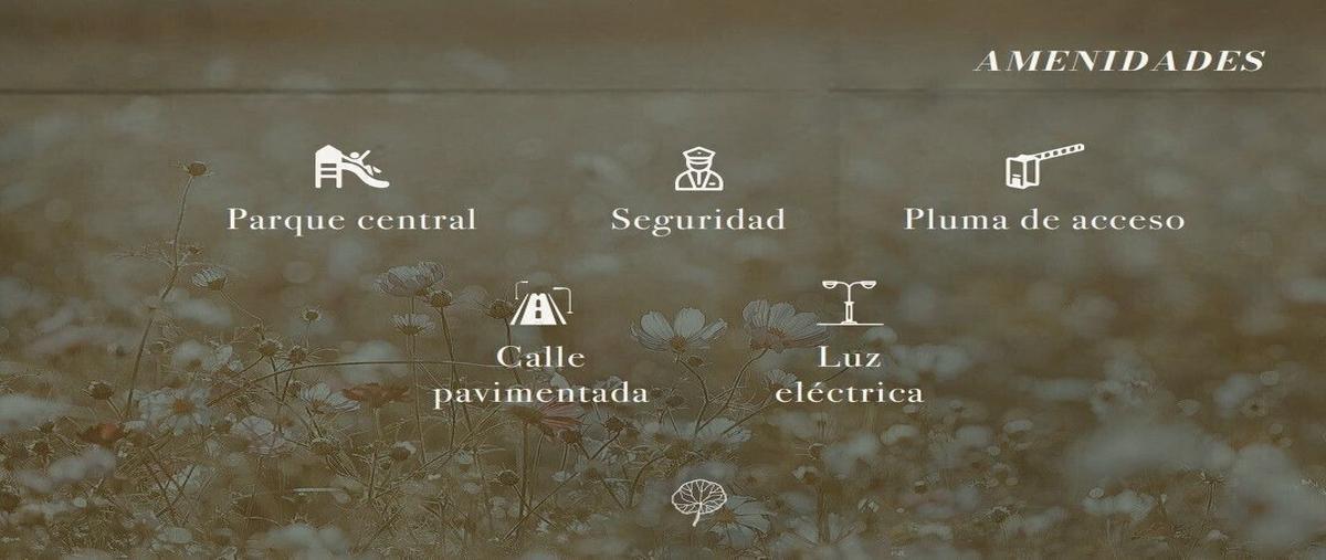 Foto de terreno habitacional en , conkal, conkal, yucatán, 21531028 foto 02 Foto de terreno habitacional en venta en , conkal, conkal, yucatán, 21531028 No. 02