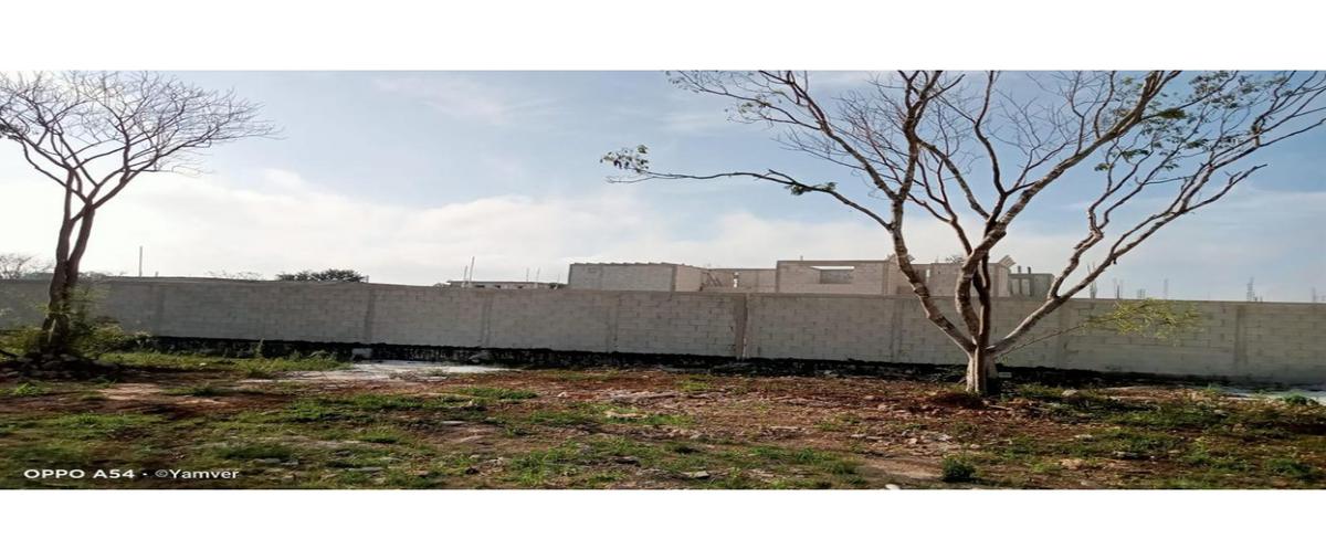 Foto de terreno habitacional en , conkal, conkal, yucatán, 22168953 foto 03 Foto de terreno habitacional en venta en , conkal, conkal, yucatán, 22168953 No. 03