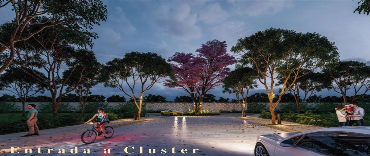 Foto de terreno habitacional en , conkal, conkal, yucatán, 24798674 foto 02 Foto de terreno habitacional en venta en , conkal, conkal, yucatán, 24798674 No. 02