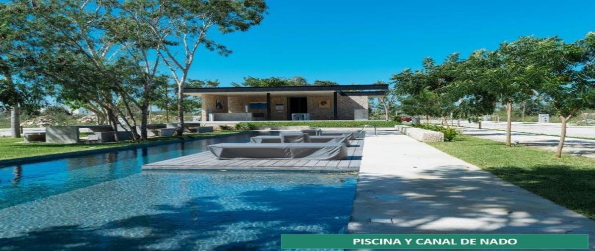 Foto de terreno habitacional en venta en  , conkal, conkal, yucatán, 25058230 No. 04