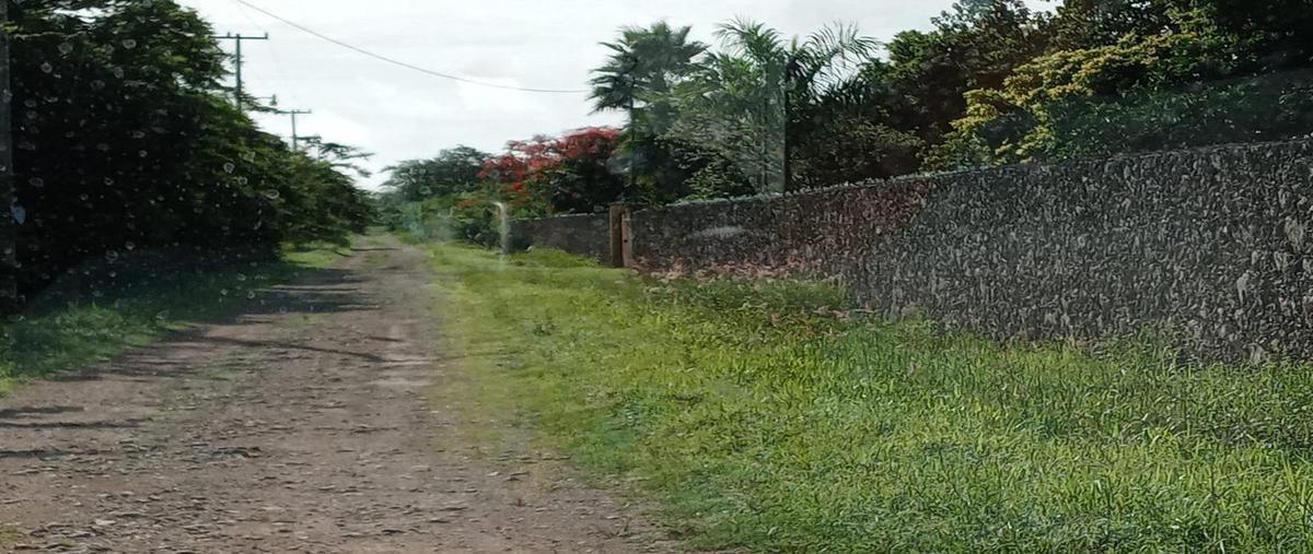 Foto de terreno habitacional en venta en  , conkal, conkal, yucatán, 0 No. 04