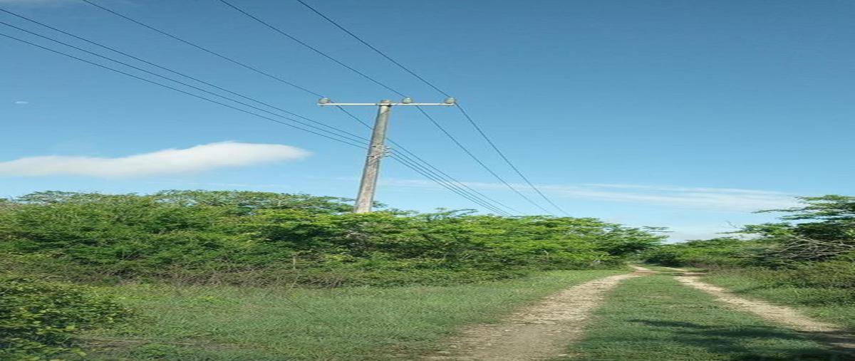 Foto de terreno habitacional en venta en  , conkal, conkal, yucatán, 0 No. 05