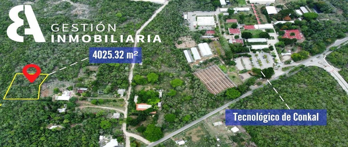 Foto de terreno habitacional en , conkal, conkal, yucatán, 25270229 foto 01 Foto de terreno habitacional en venta en , conkal, conkal, yucatán, 25270229 No. 01