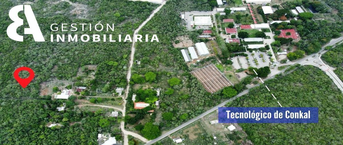 Foto de terreno habitacional en , conkal, conkal, yucatán, 25270229 foto 02 Foto de terreno habitacional en venta en , conkal, conkal, yucatán, 25270229 No. 02