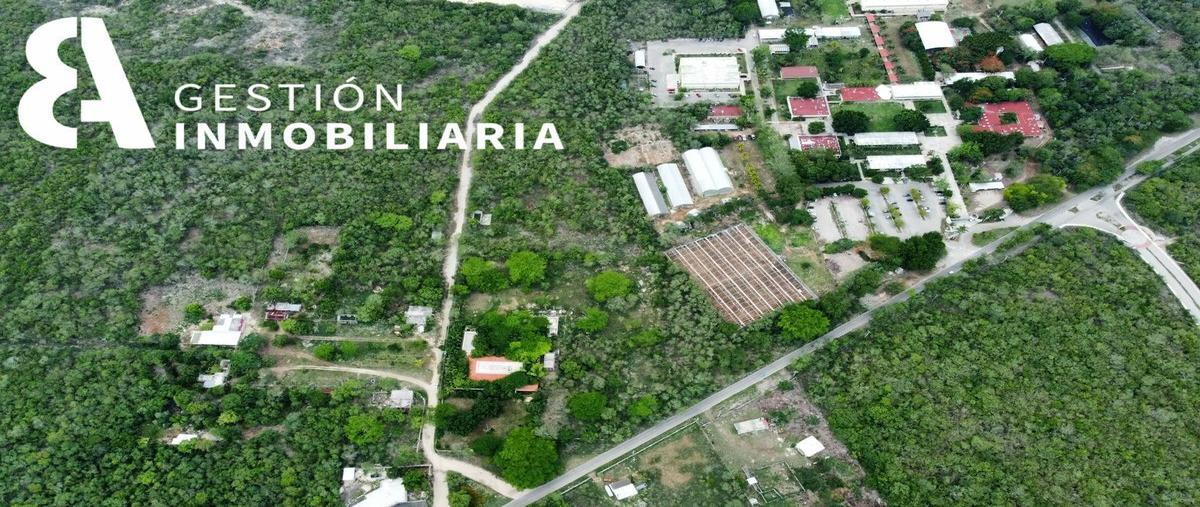 Foto de terreno habitacional en , conkal, conkal, yucatán, 25270229 foto 03 Foto de terreno habitacional en venta en , conkal, conkal, yucatán, 25270229 No. 03