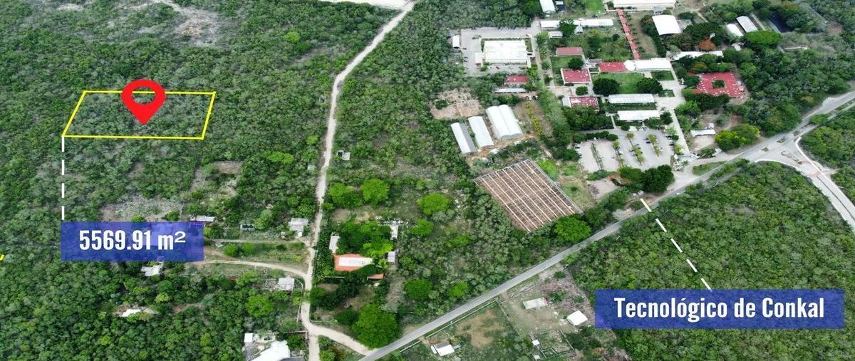 Foto de terreno habitacional en , conkal, conkal, yucatán, 25270233 foto 01 Foto de terreno habitacional en venta en , conkal, conkal, yucatán, 25270233 No. 01