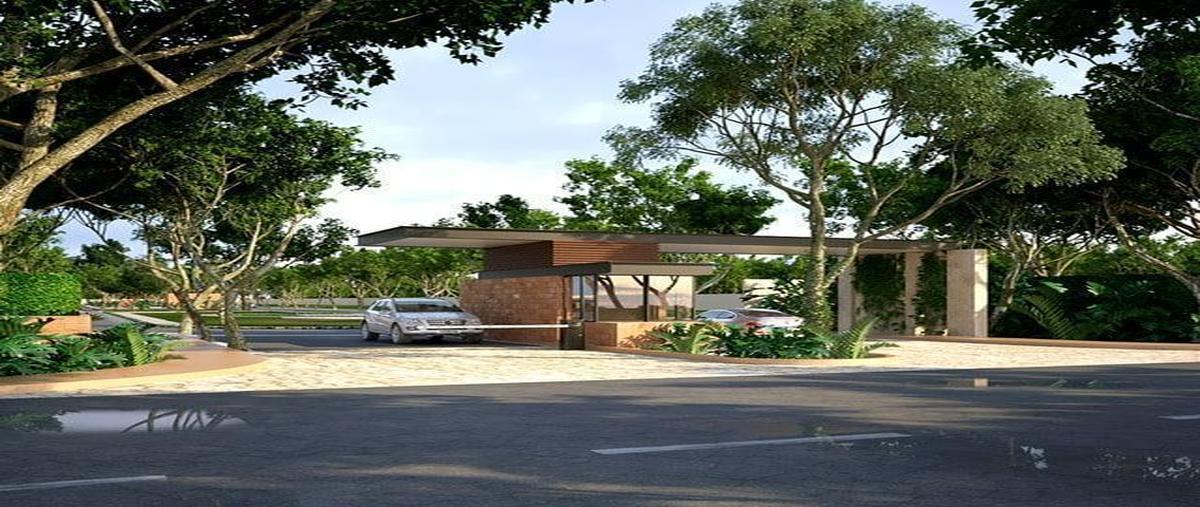 Foto de terreno habitacional en venta en  , conkal, conkal, yucatán, 25271681 No. 05