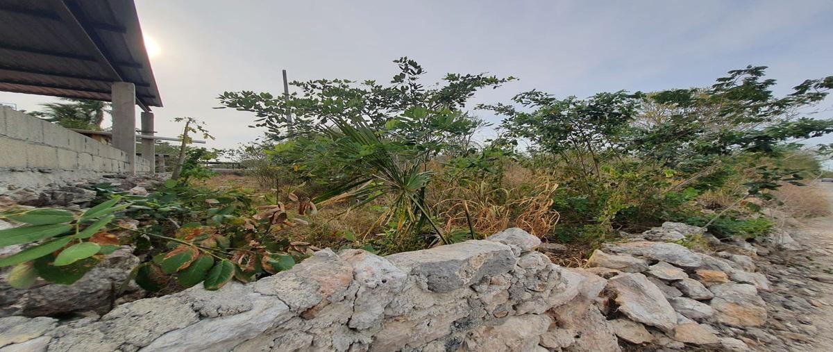 Foto de terreno habitacional en venta en  , conkal, conkal, yucatán, 26372526 No. 03