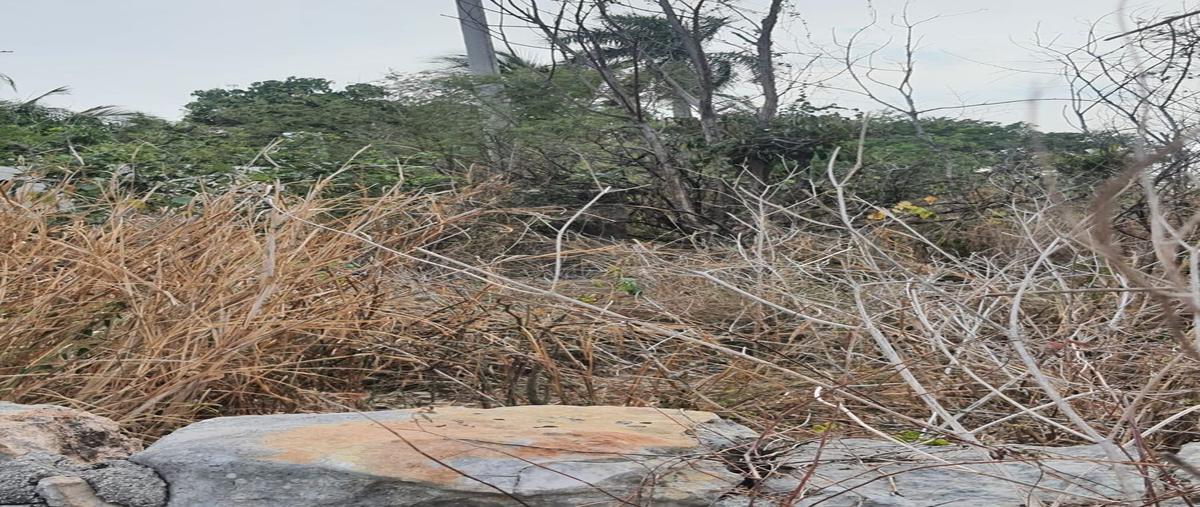 Foto de terreno habitacional en venta en  , conkal, conkal, yucatán, 26372526 No. 04