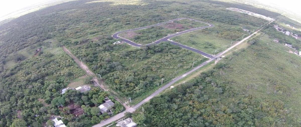 Foto de terreno habitacional en venta en  , conkal, conkal, yucatán, 26408246 No. 04