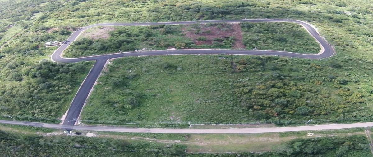 Foto de terreno habitacional en venta en  , conkal, conkal, yucatán, 26408246 No. 05