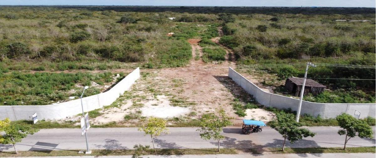 Foto de terreno habitacional en venta en  , conkal, conkal, yucatán, 26486844 No. 03