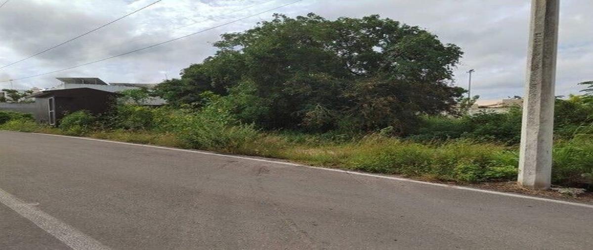 Foto de terreno comercial en venta en  , conkal, conkal, yucatán, 27017124 No. 05