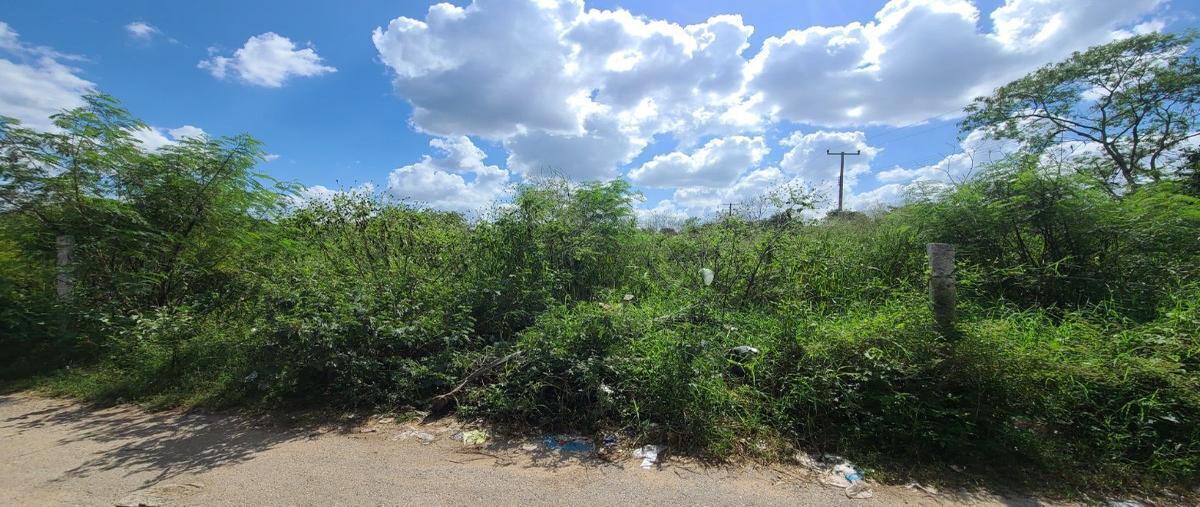 Foto de terreno habitacional en venta en  , conkal, conkal, yucatán, 27291046 No. 03