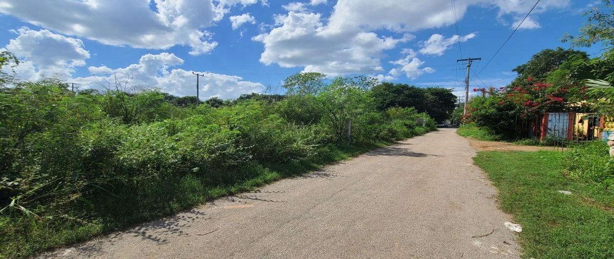 Foto de terreno habitacional en venta en  , conkal, conkal, yucatán, 27291046 No. 04