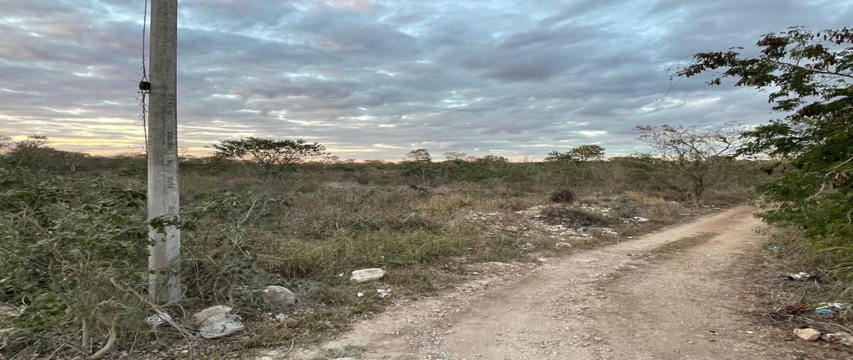 Foto de terreno habitacional en , conkal, conkal, yucatán, 27307700 foto 05 Foto de terreno habitacional en venta en , conkal, conkal, yucatán, 27307700 No. 05