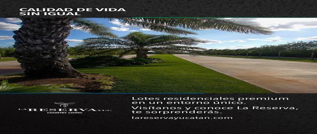 Foto de terreno habitacional en venta en  , conkal, conkal, yucatán, 27314475 No. 05