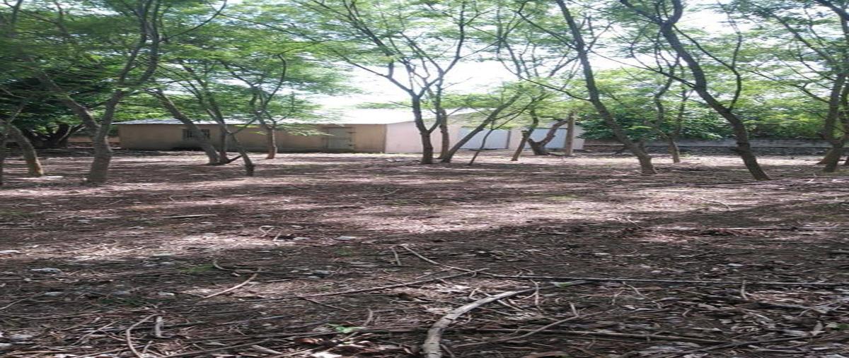 Foto de terreno habitacional en venta en  , conkal, conkal, yucatán, 0 No. 03