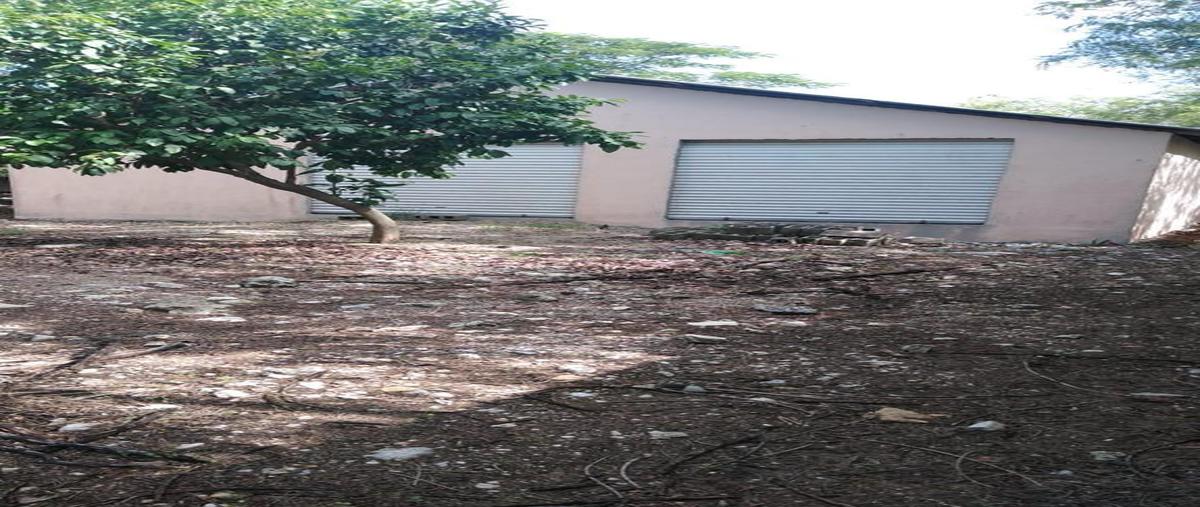 Foto de terreno habitacional en venta en  , conkal, conkal, yucatán, 0 No. 04