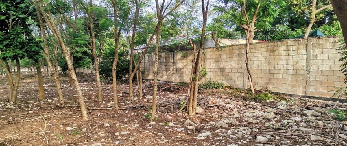 Foto de terreno habitacional en venta en  , conkal, conkal, yucatán, 0 No. 05