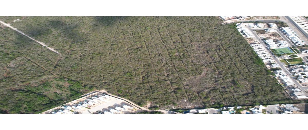 Foto de terreno habitacional en , conkal, conkal, yucatán, 0 foto 04 Foto de terreno habitacional en venta en , conkal, conkal, yucatán, 0 No. 04