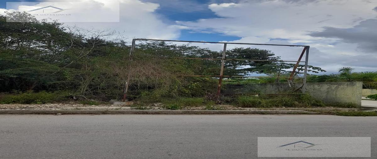 Foto de terreno habitacional en venta en  , conkal, conkal, yucatán, 0 No. 04