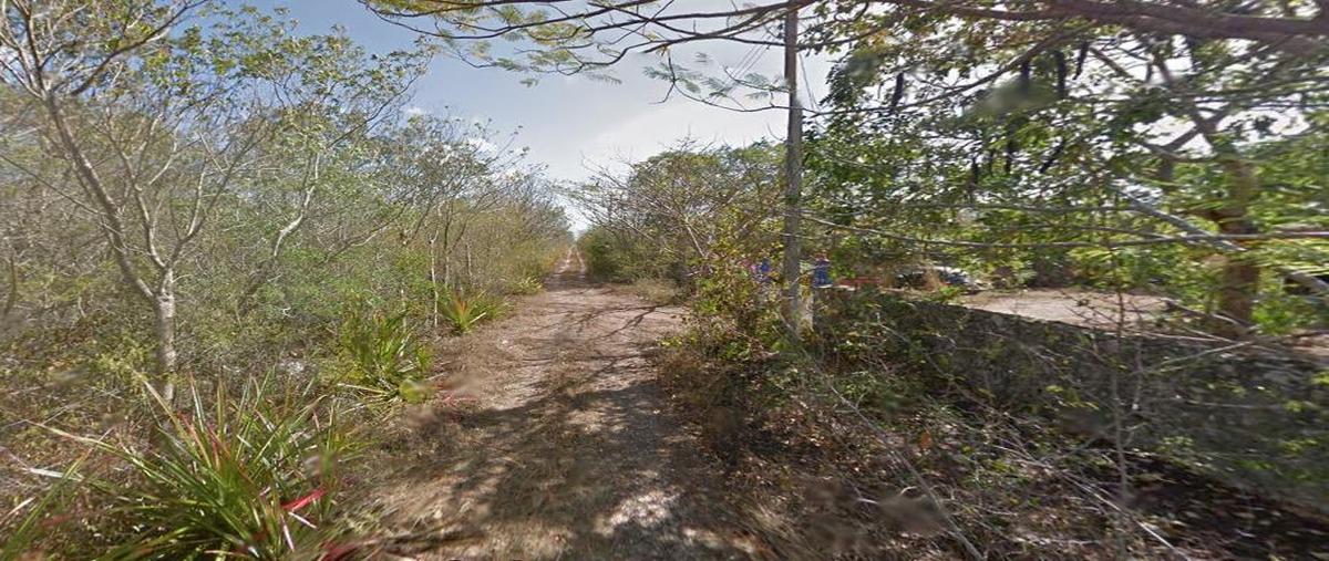 Foto de terreno habitacional en , conkal, conkal, yucatán, 27604221 foto 02 Foto de terreno habitacional en venta en , conkal, conkal, yucatán, 27604221 No. 02