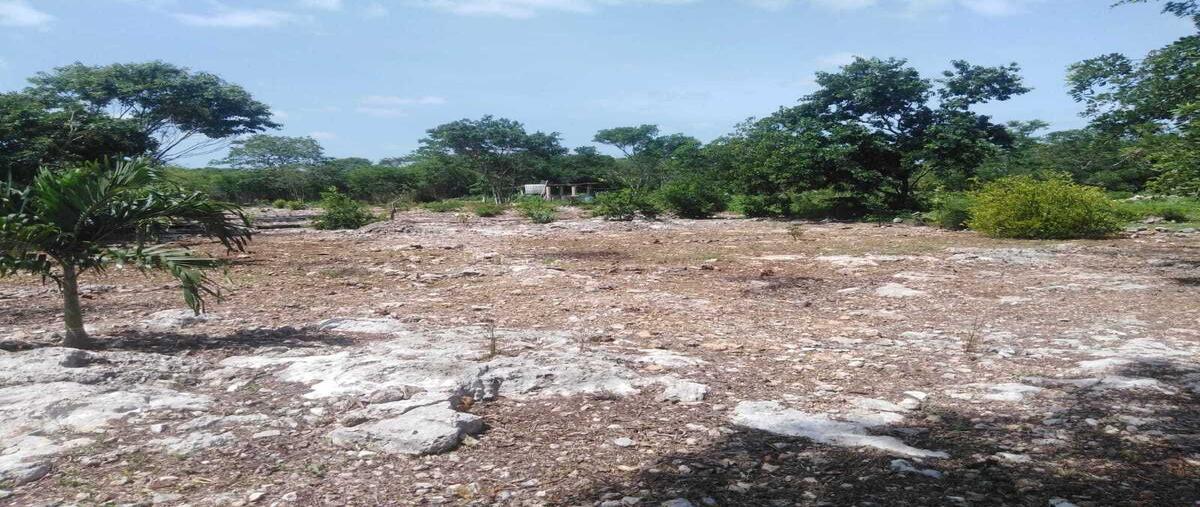 Foto de terreno habitacional en venta en  , conkal, conkal, yucatán, 27686405 No. 05