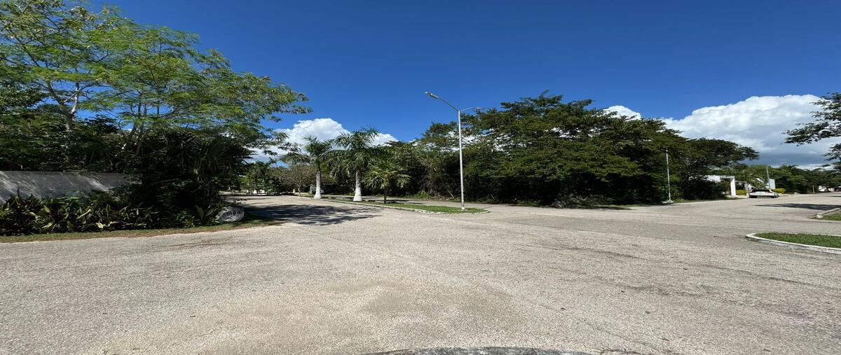 Foto de terreno habitacional en venta en  , conkal, conkal, yucatán, 27741621 No. 03