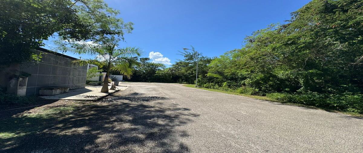 Foto de terreno habitacional en venta en  , conkal, conkal, yucatán, 27741621 No. 04