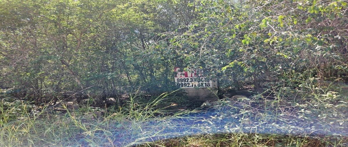 Foto de terreno habitacional en venta en  , conkal, conkal, yucatán, 27877474 No. 03