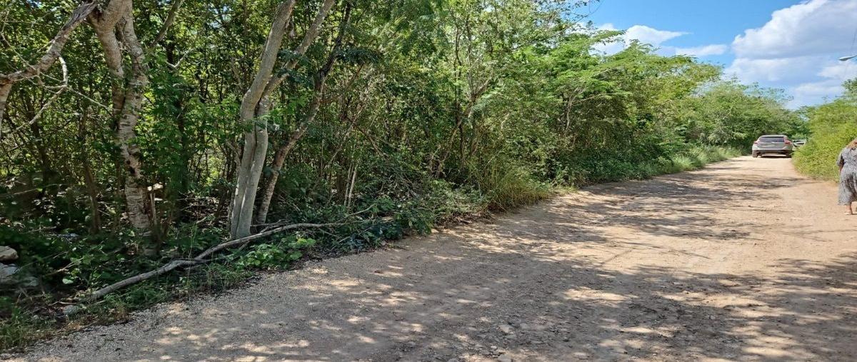 Foto de terreno habitacional en venta en  , conkal, conkal, yucatán, 27877474 No. 05