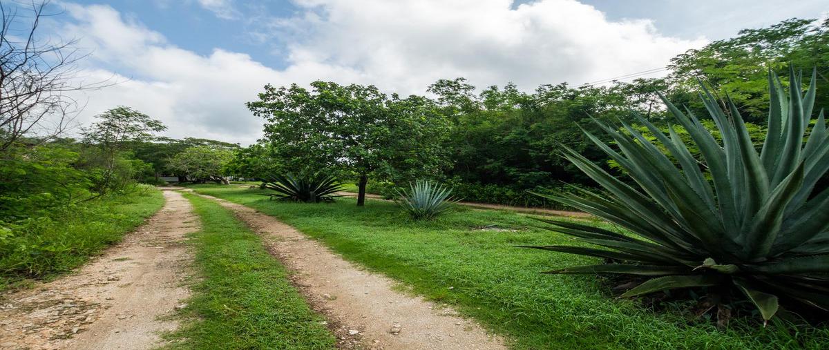 Foto de terreno habitacional en , conkal, conkal, yucatán, 27882109 foto 01 Foto de terreno habitacional en venta en , conkal, conkal, yucatán, 27882109 No. 01
